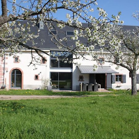 Bed and Breakfast La Colline Du Baa Lapoutroie Exterior foto