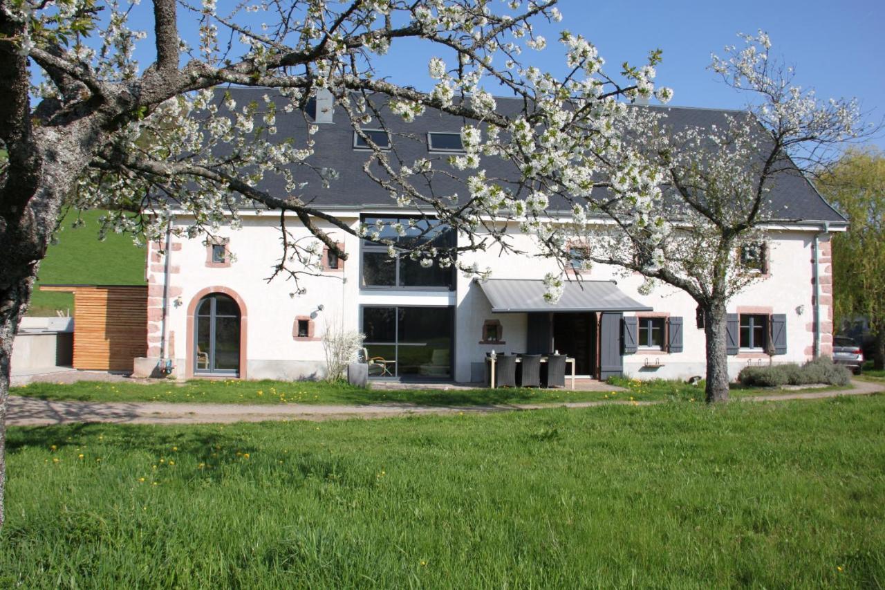 Bed and Breakfast La Colline Du Baa Lapoutroie Exterior foto