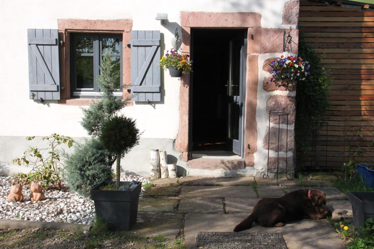 Bed and Breakfast La Colline Du Baa Lapoutroie Exterior foto